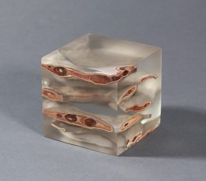 A resin block filled with cut seed pods